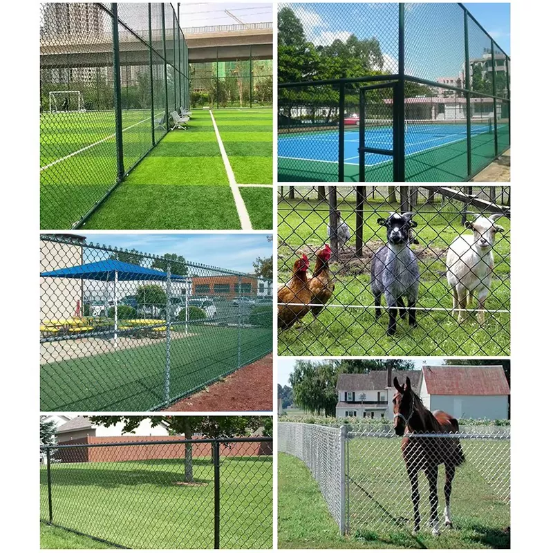 Cyclone Fence