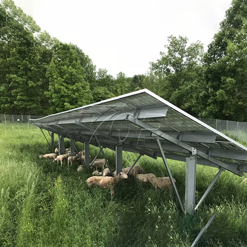Solar Power Farm